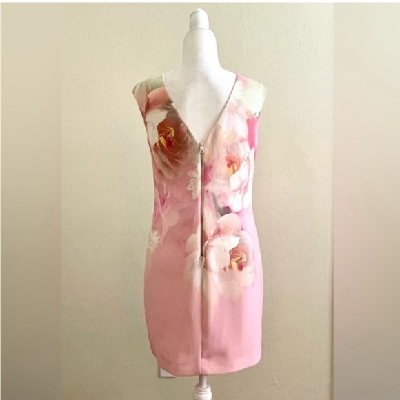 Ted Baker Damona Rose On Canvas Sleeveless Pink Floral Mini Dress - Picture 8 of 12